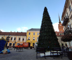 Choinka na Placu Kazimierza w Tarnowie