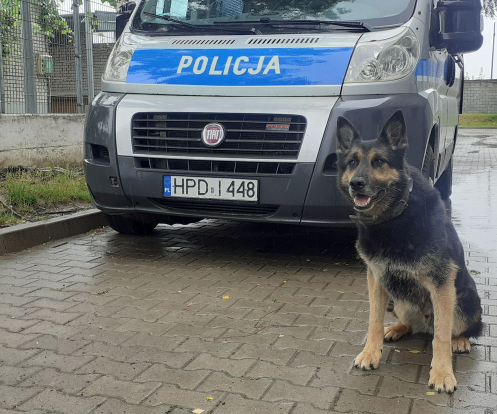 Gdzie policyjny pies idzie na emeryturę?