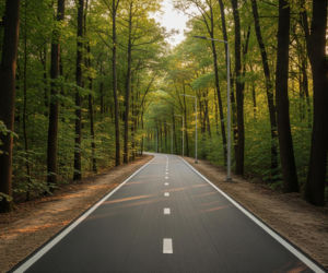 Jak sprawdzić trasę autobusu w telefonie? Ta prosta funkcja pomoże zadbać o bezpieczeństwo