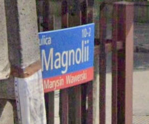 Oto najbardziej wiosenne ulice w stolicy! Tu wiosna trwa cały rok!