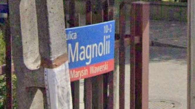 Oto najbardziej "wiosenne" ulice w stolicy! Tu wiosna trwa cały rok!