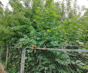 Dziesięć najbardziej wstydliwych miejsc Tarnowa. Niektóre straszą od wielu lat [CAŁA GALERIA]