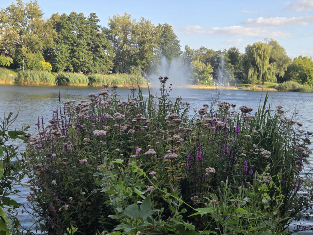 Zielona perła Bartodziejów. Odkryj uroki bydgoskiego Balatonu