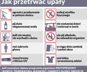 Jak przetrwać upały? RCB radzi!