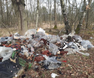 SZOK! Wyrzucili przy drodze worki z odpadami, a w środku... podpisane zeszyty