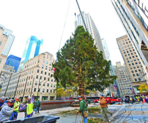 Manhattan już z choinką