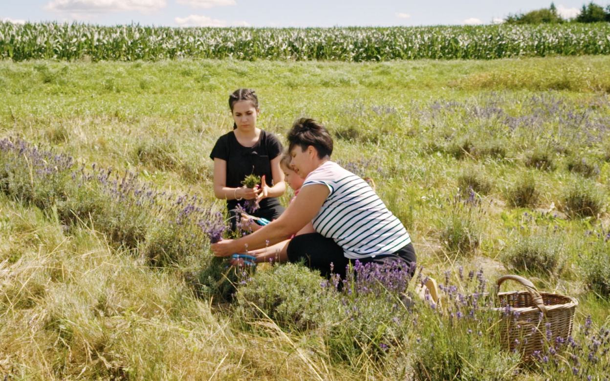 Poznajcie nowych bohaterów serialu Rolnicy. Podlasie