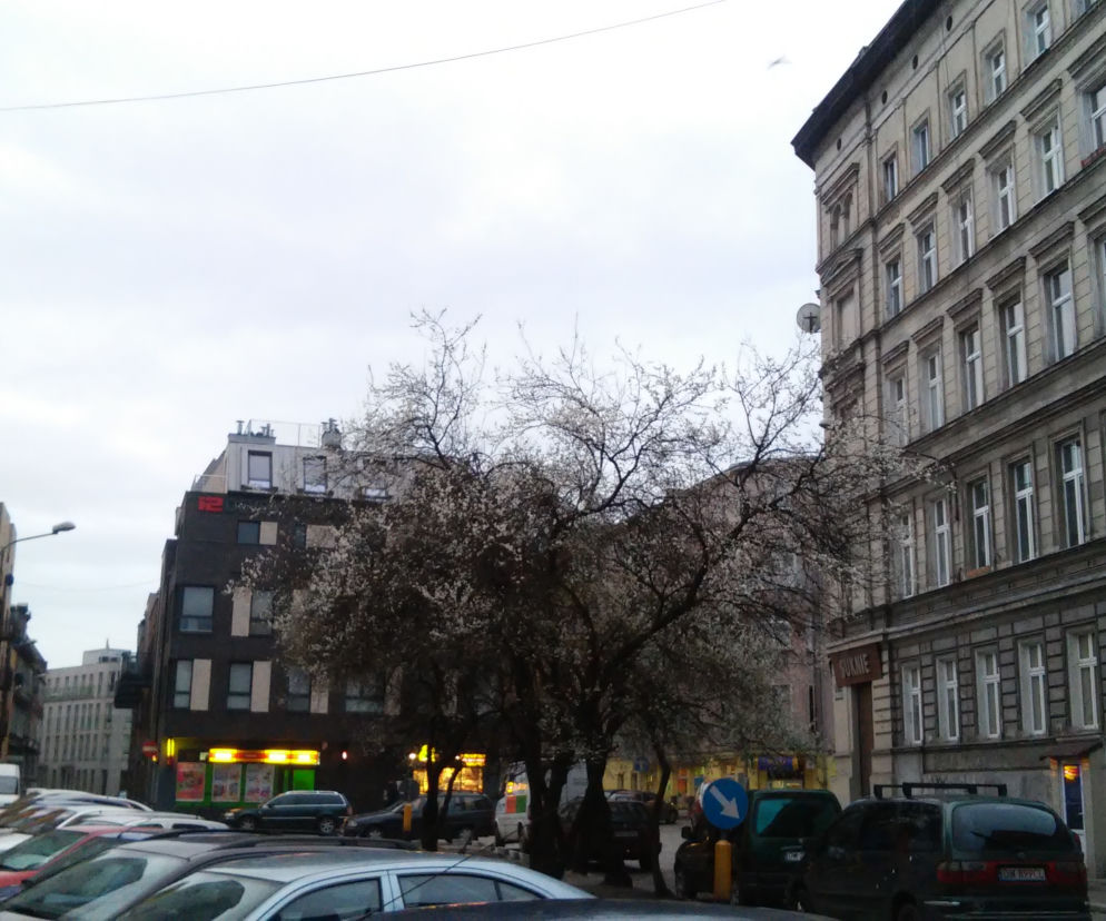 Mężczyźni grozili ofierze, zabrali jej pieniądze, a potem jeszcze uderzyli butelką w głowę
