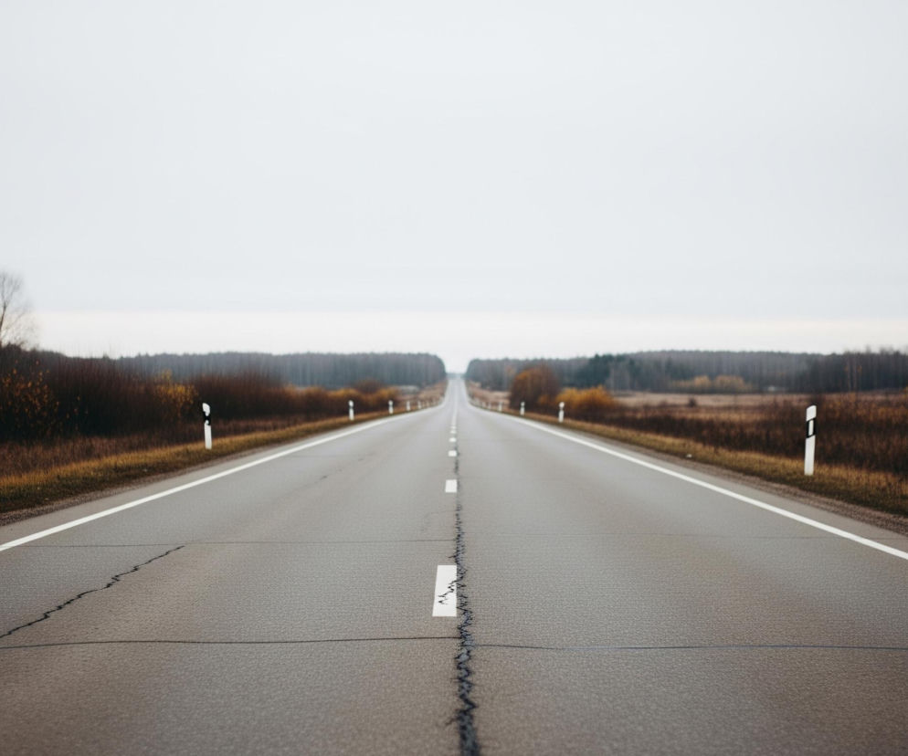 Długa, prosta droga asfaltowa biegnie w głąb kadru, zbiegając się w odległym punkcie centralnym. Na środku drogi widoczne są przerywane białe linie, a po obu stronach drogi znajdują się ciągłe białe linie, oddzielające jezdnię od pobocza. Nawierzchnia drogi jest ciemnoszara i nosi ślady pęknięć.

Po obu stronach drogi rozciąga się pas brązowo-zielonej roślinności, a za nią widoczna jest gęsta linia drzew o ciemnobrązowych i żółtych liściach, sugerująca jesienny krajobraz. Powyżej lasu rozciąga się jasnoszare, jednolite niebo, które zajmuje większą część górnej połowy obrazu. Wzdłuż pobocza, po obu stronach, rozmieszczone są biało-czarne słupki drogowe.