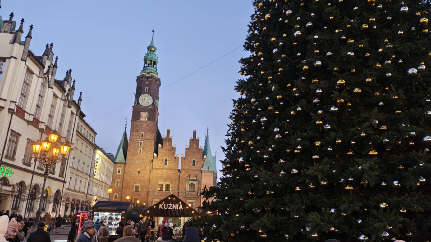 Rozświetlenie choinki we Wrocławiu 