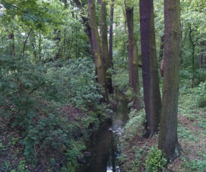 Park Tysiąclecia w Toruniu czekają spore zmiany