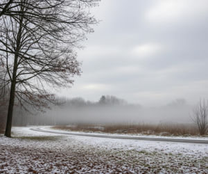 Co z tą pogodą w Końskich 08.12.2025? Sprawdź, co przyniesie dzień!