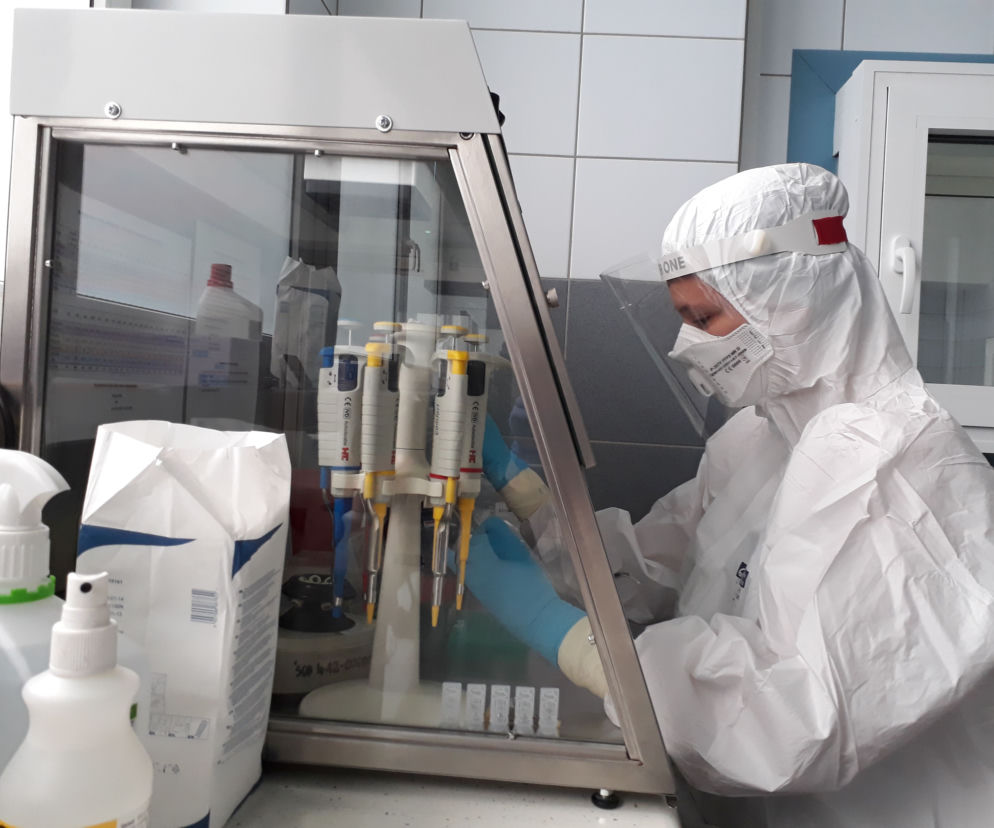 Laboratorium do wykrywania koronawirusa w ŚCO