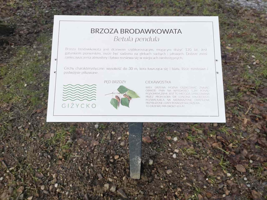 Rozpoczęły się odbiory w nowym miejscu rekreacji w Giżycku. To miejsce do spędzania wolnego czasu [ZDJĘCIA]