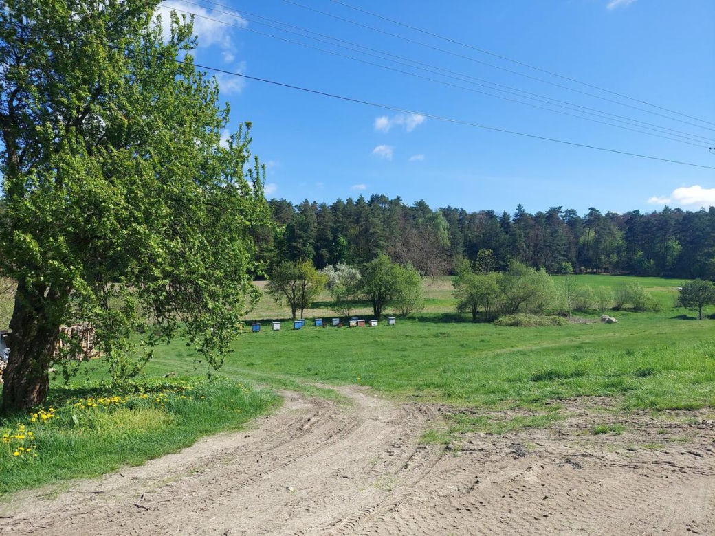 51 Rajd „Spotknie z Wiosną”