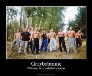 Nóż się w kieszeni otwiera i Janusz i szykuje się na grzyby! MEMY o grzybobraniu [GALERIA]