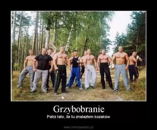 Nóż się w kieszeni otwiera i Janusz i szykuje się na grzyby! MEMY o grzybobraniu [GALERIA]