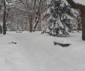 Zasypany Przemyśl (Zasanie) 11.02.2021