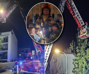 Kot utknął wysoko na drzewie. Spektakularna akcja służb w Wielkopolsce! 