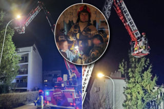 Kot utknął wysoko na drzewie. Spektakularna akcja służb w Wielkopolsce! 