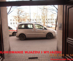 Janusze parkowania są wśród nas! Śmiać się czy płakać?