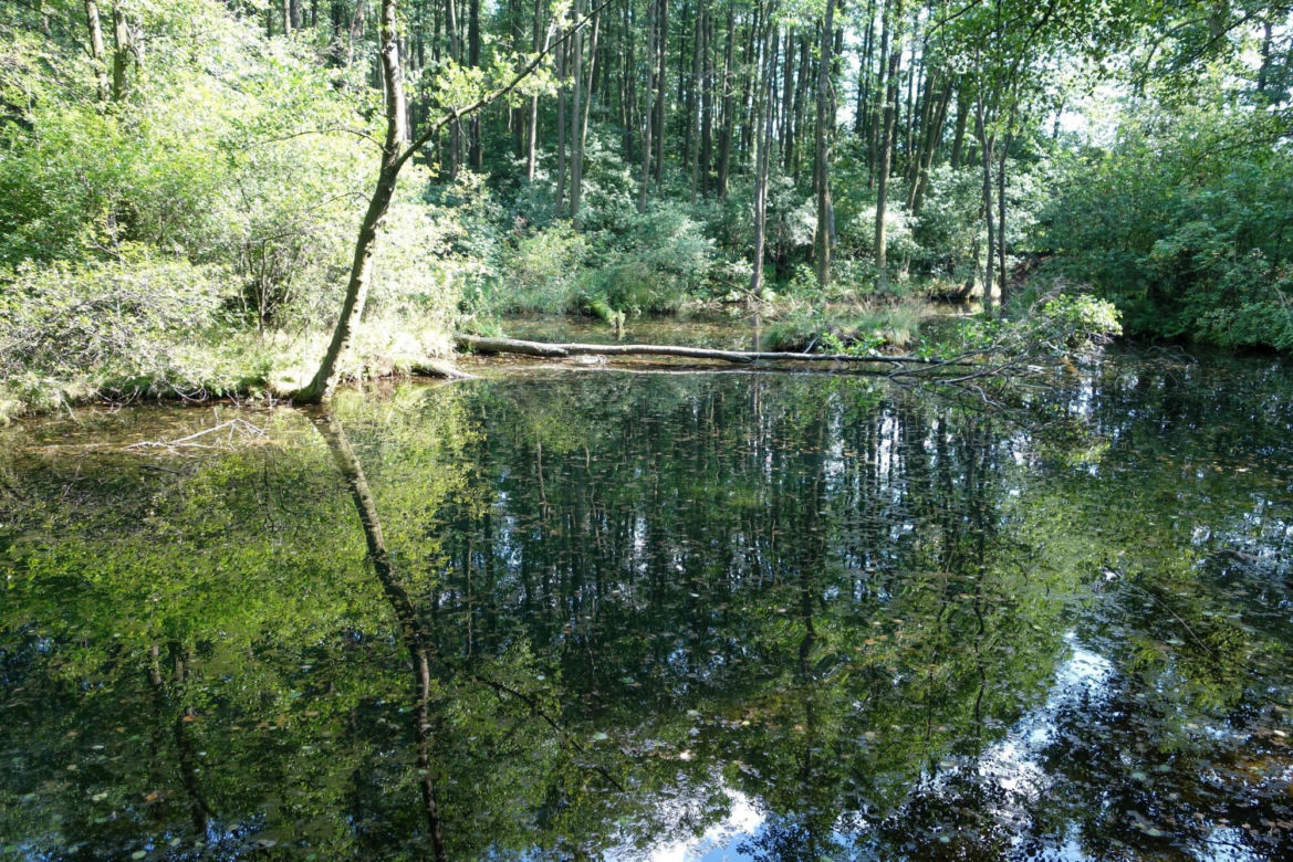 Tomaszów Mazowiecki skrywa turystyczne perełki