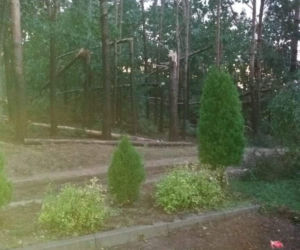 Nawałnica w gminie Lisia Góra łamała drzewa jak zapałki. Potężne zniszczenia 