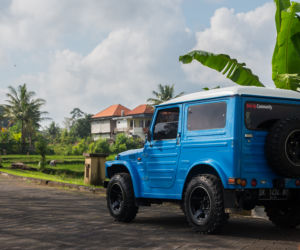 Suzuki LJ