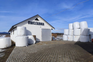 Zofia wróciła z Ameryki, zginęła w owczarni