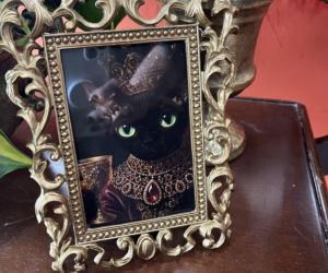 Co naprawdę dzieje się w zamku Zdrajców? Mamy zdjęcia zza kulis hitu TVN!