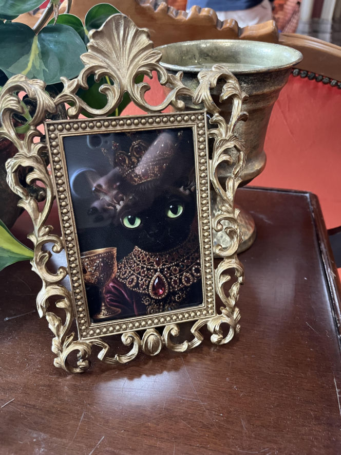 Co naprawdę dzieje się w zamku Zdrajców? Mamy zdjęcia zza kulis hitu TVN!