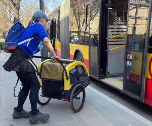 Tak Damięcka dba o psa