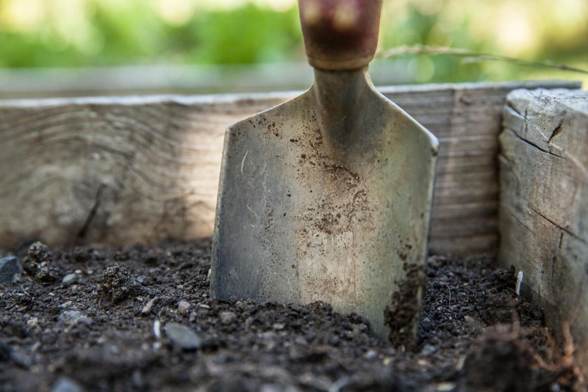 Mistrzostwa w kopaniu grobów na czas będą w Kielcach! Najlepsi grabarze pojawią się na Targach NECROEXPO