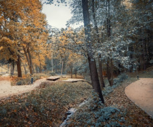 Park Miejski Starachowice