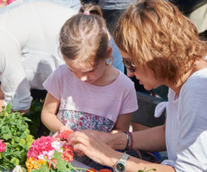 Festiwal Nauki w Lublinie 2018