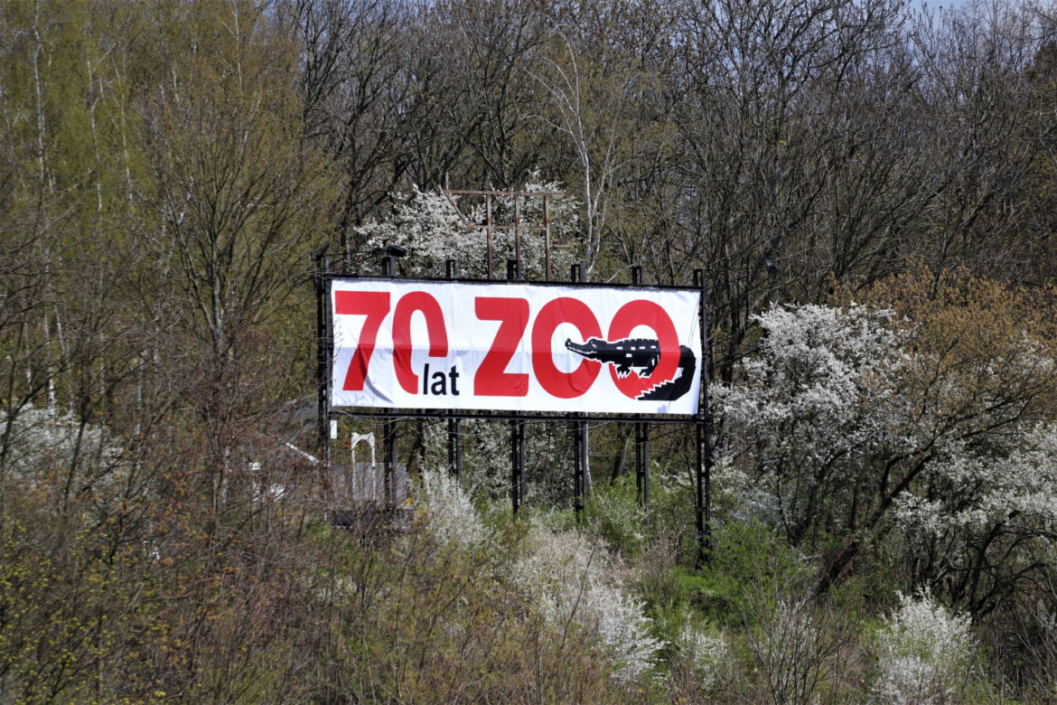 Wjeżdżały do Płocka przez 25 lat i zawsze tam był. Co się stało z "hollywoodzkim" symbolem miasta? [ZDJĘCIA]