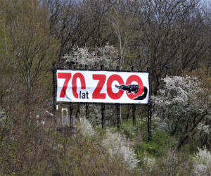 Wjeżdżały do Płocka przez 25 lat i zawsze tam był. Co się stało z hollywoodzkim symbolem miasta? [ZDJĘCIA]