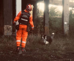 Przy kopalni Mysłowice ZAWALIŁ SIĘ budynek! Rannych szukali Robroy i Piorun