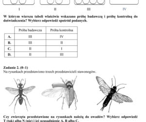 EGZAMIN GIMNAZJALNY 2014 PRZYRODA, BIOLOGIA, GEOGRAFIA: ARKUSZE OFICJALNE Z CKE + ODPOWIEDZI