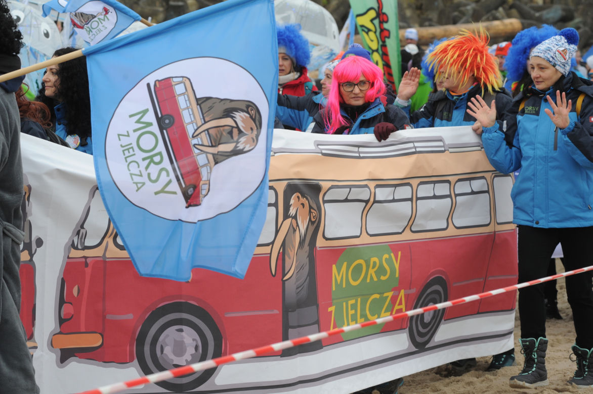 Tysiące morsów wykąpało się w Bałtyku