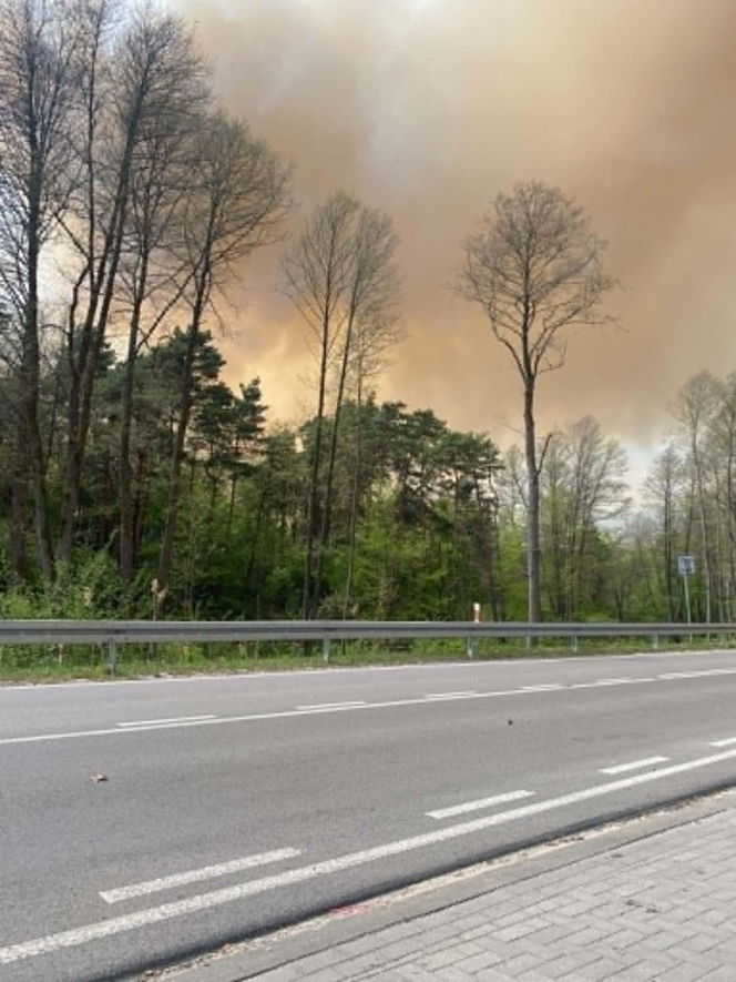 Pożar w woj. lubelskim