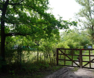 Teren Rekreacyjnych Ogródków Działkowych na Międzywalu Wisły