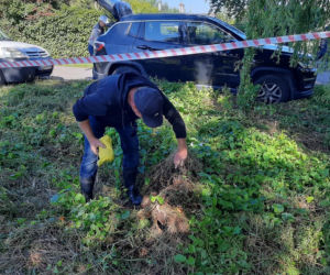 Poszukiwania Iwony Wieczorek w Gdańsku
