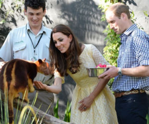 Księżna Kate w ZOO