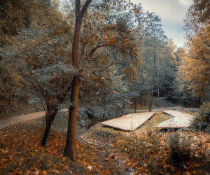 Park Miejski Starachowice