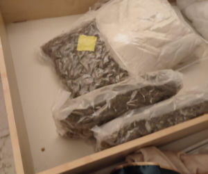 48 kilogramów narkotyków nie wejdzie na rynek. Zatrzymany przez stołecznych policjantów 36-latek trafił do aresztu