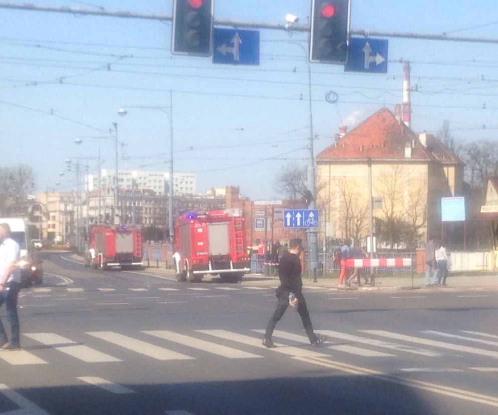 Zwłoki wyłowione z Odry w centrum Wrocławia