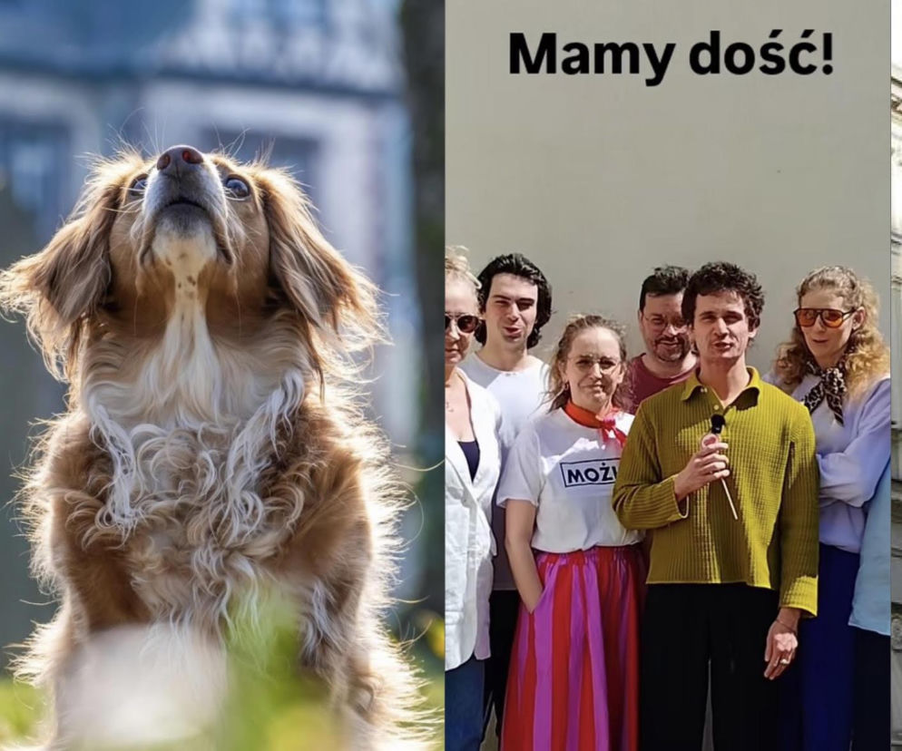 Teatr Żeromskiego w Kielcach walczy o prawa zwierząt. Wielki protest już 9 maja!
