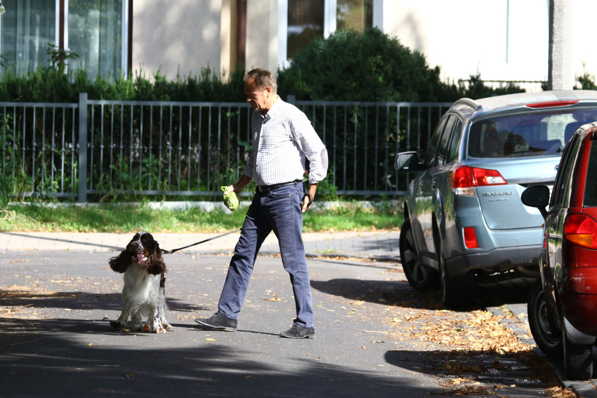 Tusk sprząta po psie