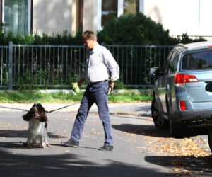 Tusk sprząta po psie
